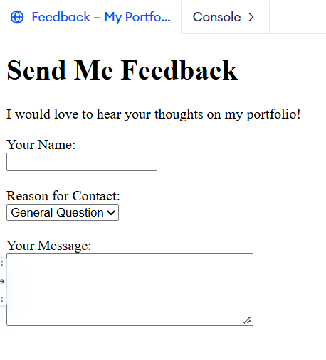 Portfolio Day 11 Example Image