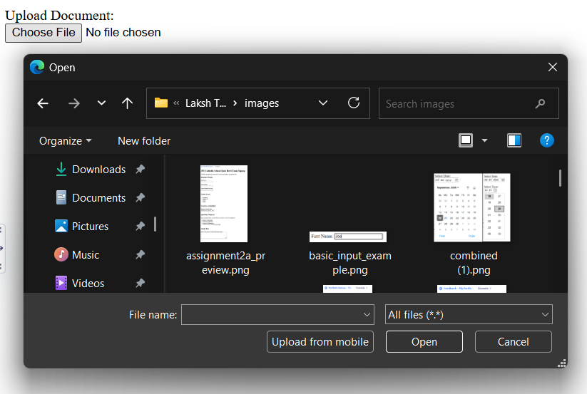 Step 3 File Upload Example