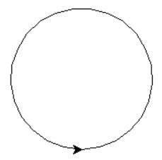Turtle Circle
