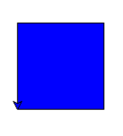 Turtle Filled Square