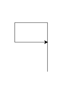 Simple Turtle Flag