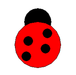 Ladybug