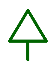 Turtle Pine Tree