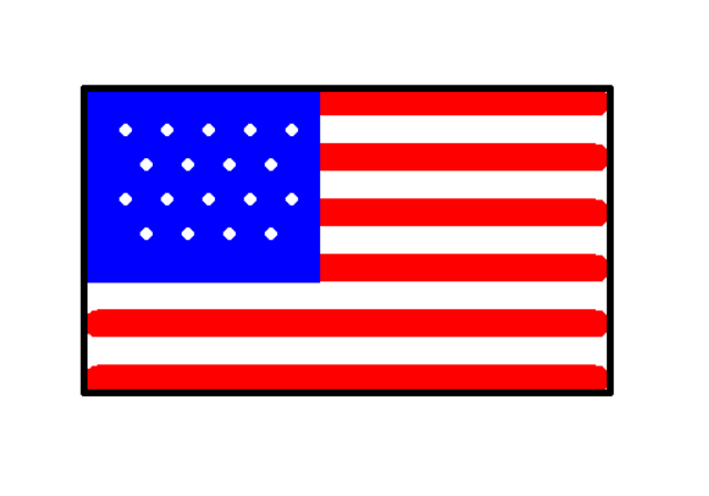 Turtle USA Flag