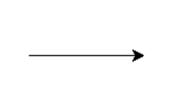 Turtle Shown