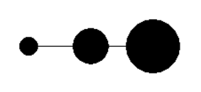 Turtle Size